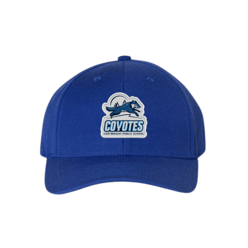 Curved Visor Snapback Hat