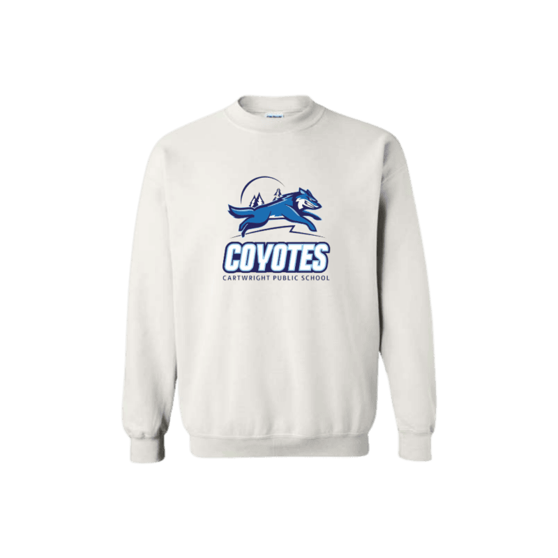 Adult Generic Brand Crewneck Sweatshirt