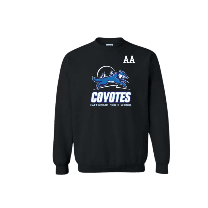 Youth Generic Brand Crewneck Sweatshirt with Custom Number or Initials