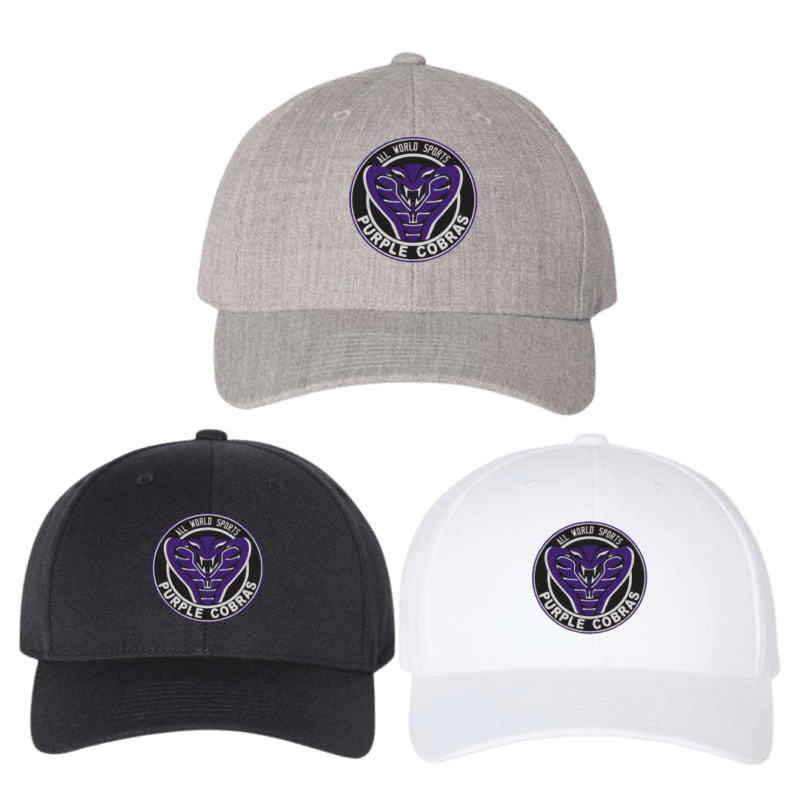 Curved Visor Snapback Hat