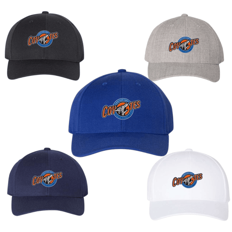 Carruthers Creek Curved Visor Snapback Hat