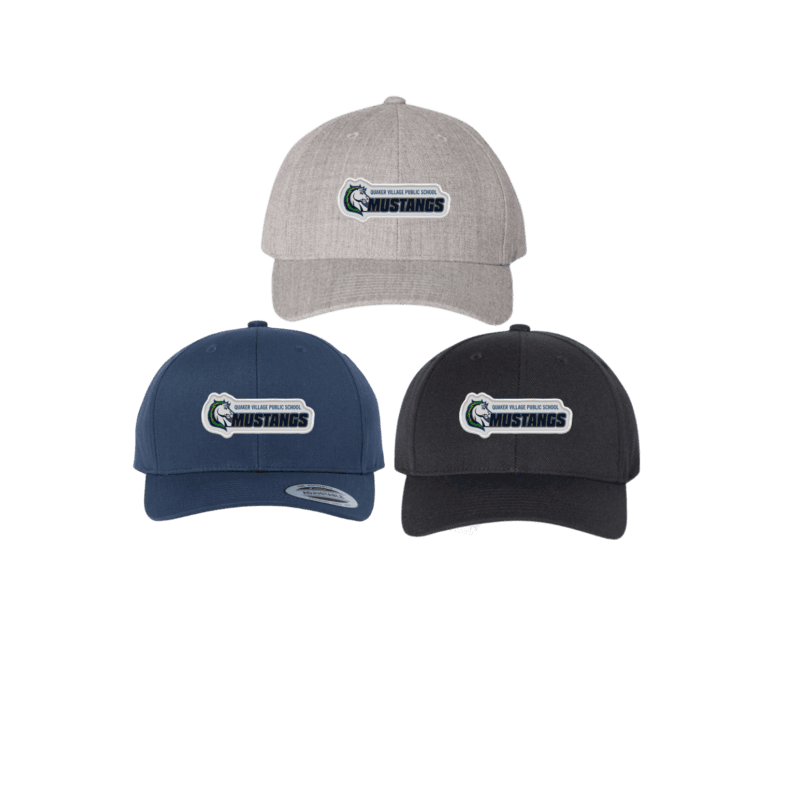QVPS Curved Visor Snapback Hat